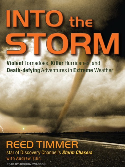 Title details for Into the Storm by Andrew Tilin - Available